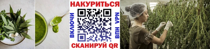 KRAKEN сайт  маркетплейс наркотические препараты  Canna-Cookies марихуана  Искитим 